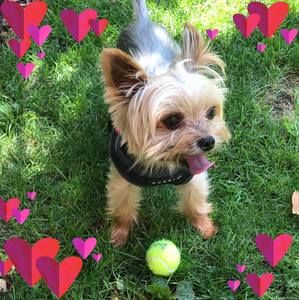 Meet your Posher, Caroline